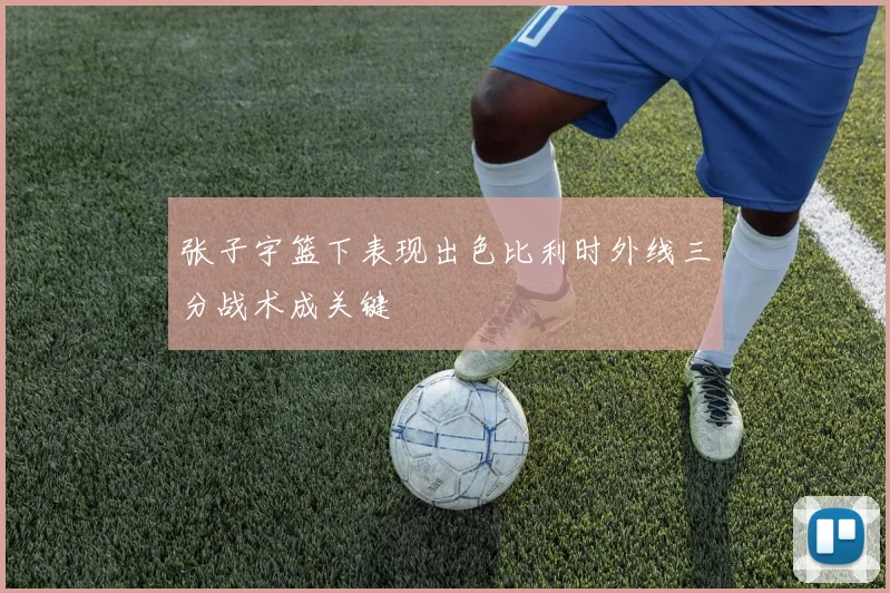 张子宇篮下表现出色比利时外线三分战术成关键